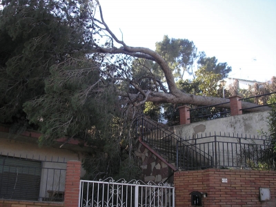 Carrer de Pi i Maragall