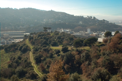 Vista del turó d'en Roina des del turó del dipòsit d'aigua