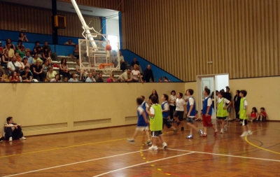 Exhibició de bàsquet