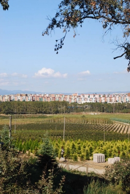 El barri vist des de la plana de Can Vilaró