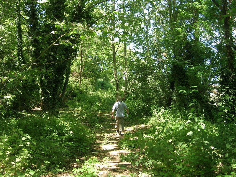 El camí de la font de Santa Caterina és un dels accessos que s'arranjaran i se senyalitzaran