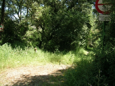 Imatge del camí de la font de Santa Catarina des de la BV 5001